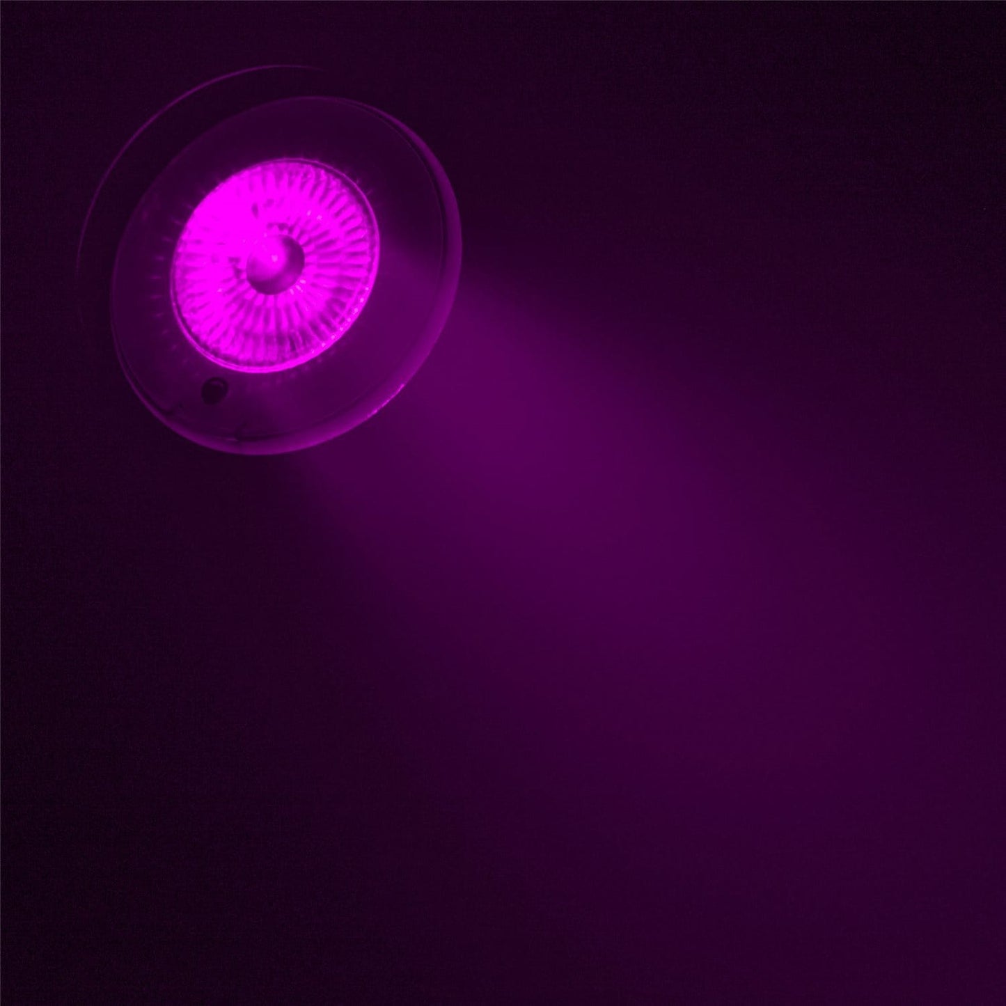 Chauvet EZ Wash Hex Pack LED Light Bundle - ProSound and Stage Lighting
