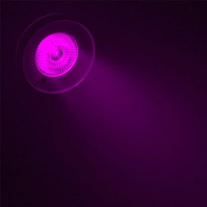 Chauvet EZ Wash Hex Pack LED Light Bundle - ProSound and Stage Lighting