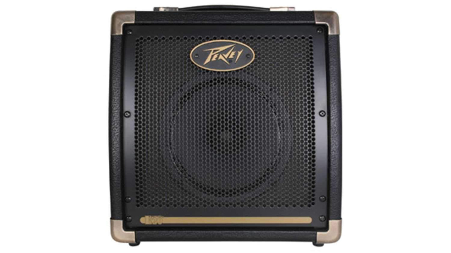 Peavey E20 20Watt Ecoustic Acoustic Guitar Amp - ProSound and Stage Lighting