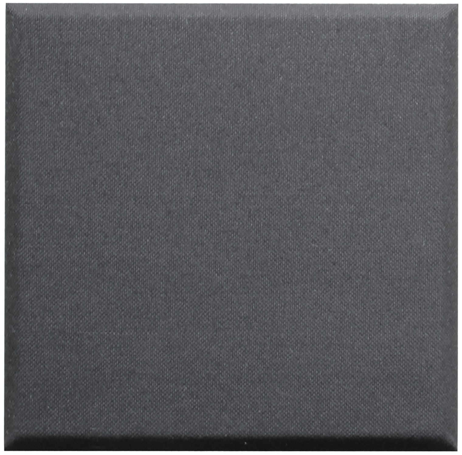 Primacoustic 2-Inch Control Cube Panel 24x24x2 Black - ProSound and Stage Lighting