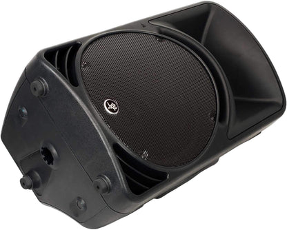 Mackie C300 12-Inch 2-Way Passive Speaker - ProSound and Stage Lighting