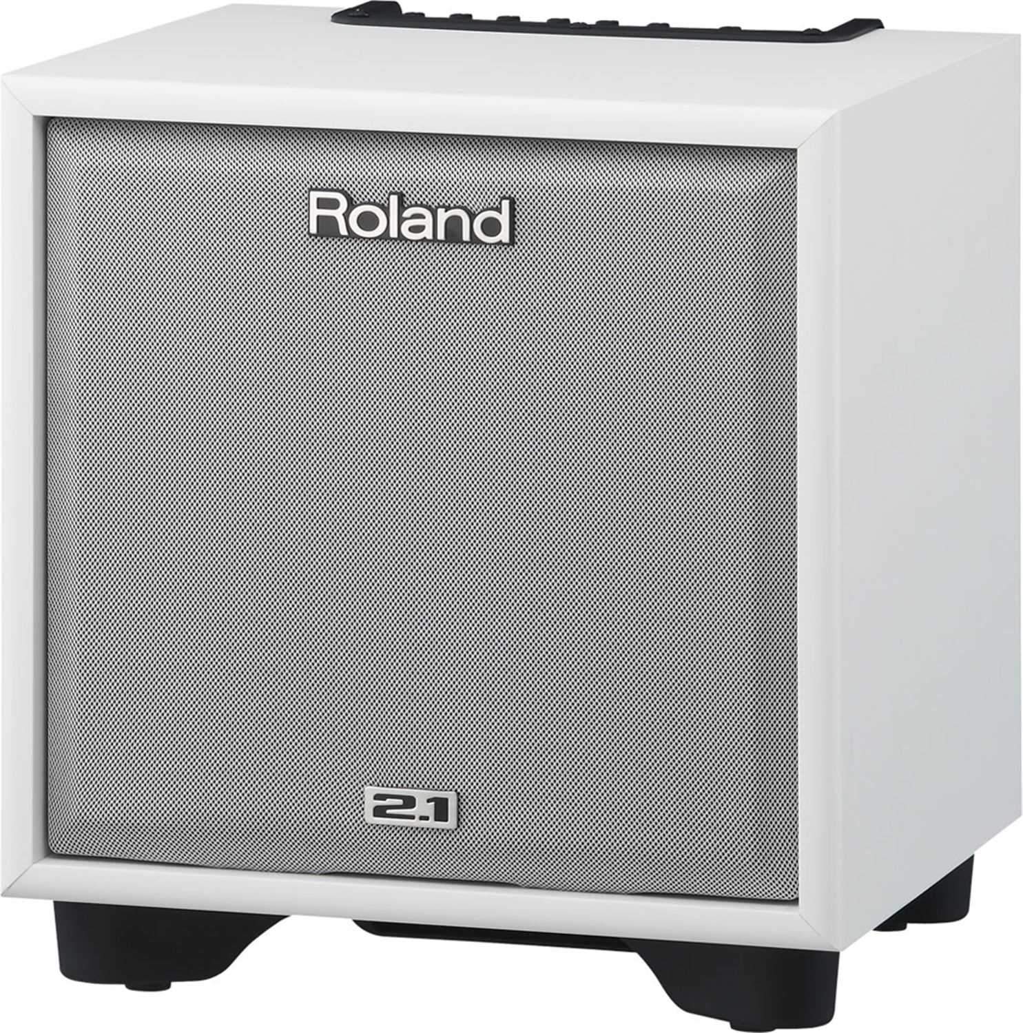 Roland CM-110-WH 100W 2.1 Monitor System (White) - ProSound and Stage Lighting