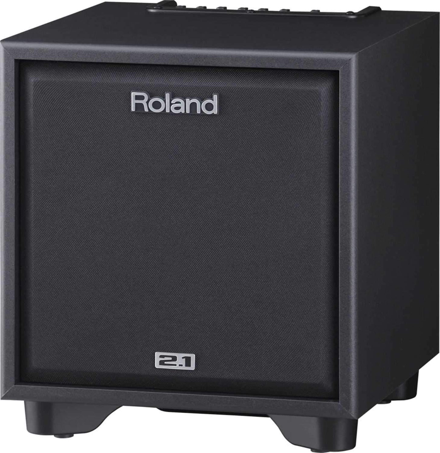 Roland CM-110 100W 2.1 Monitor System (Black) - ProSound and Stage Lighting