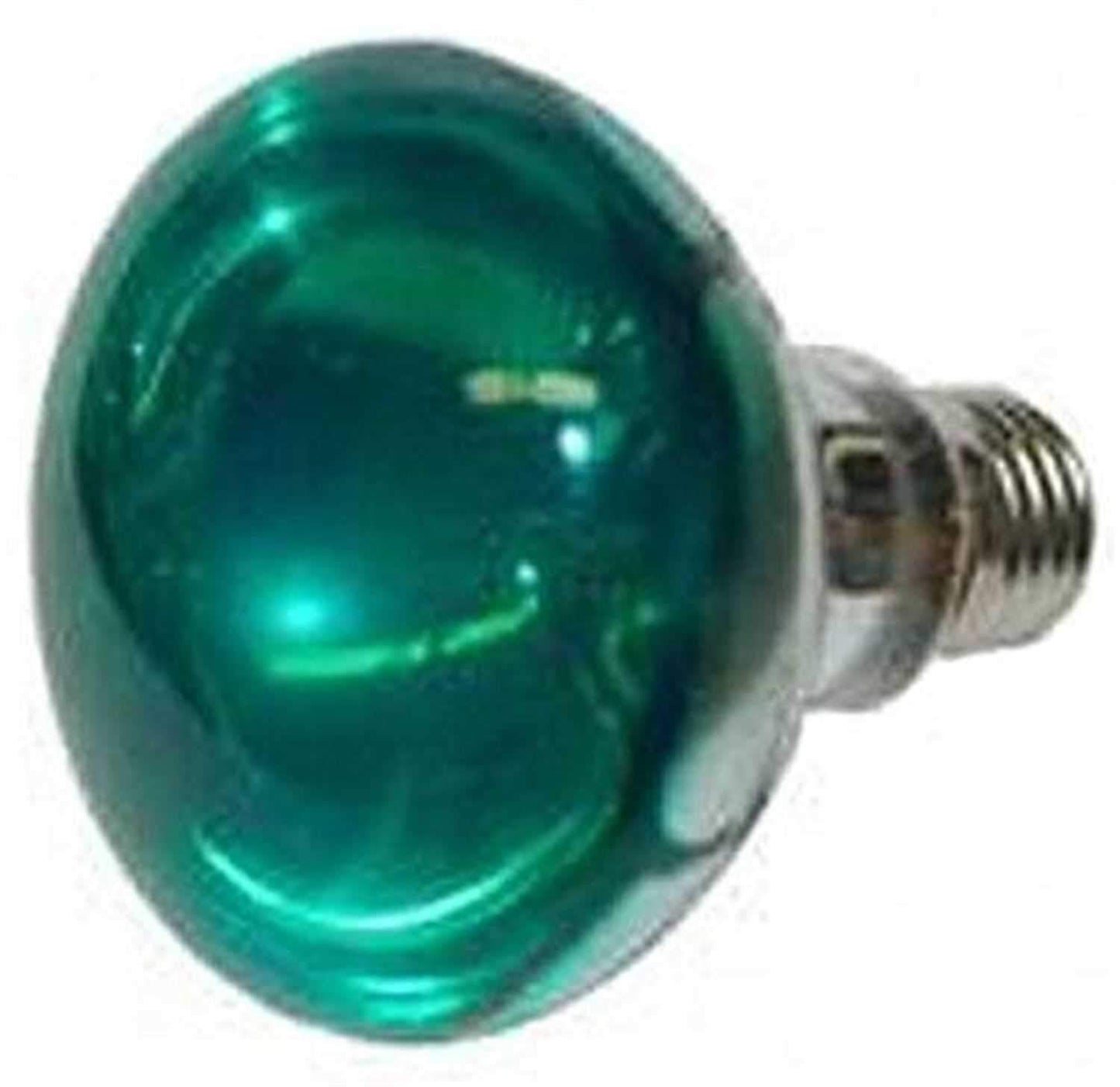 Eliminator EL137G Replacement Bulb-Green - ProSound and Stage Lighting