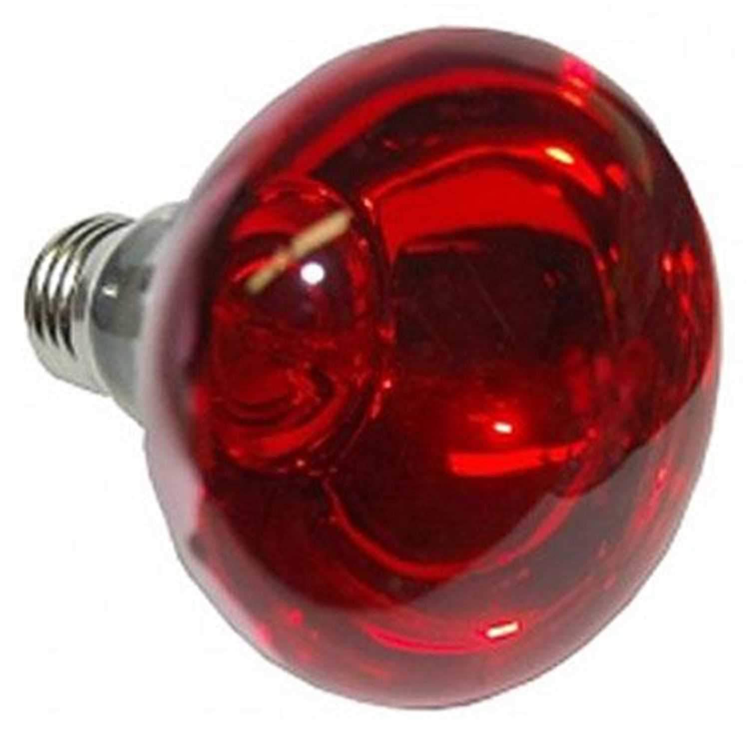 Eliminator EL137R Replacement Bulb-Red - ProSound and Stage Lighting