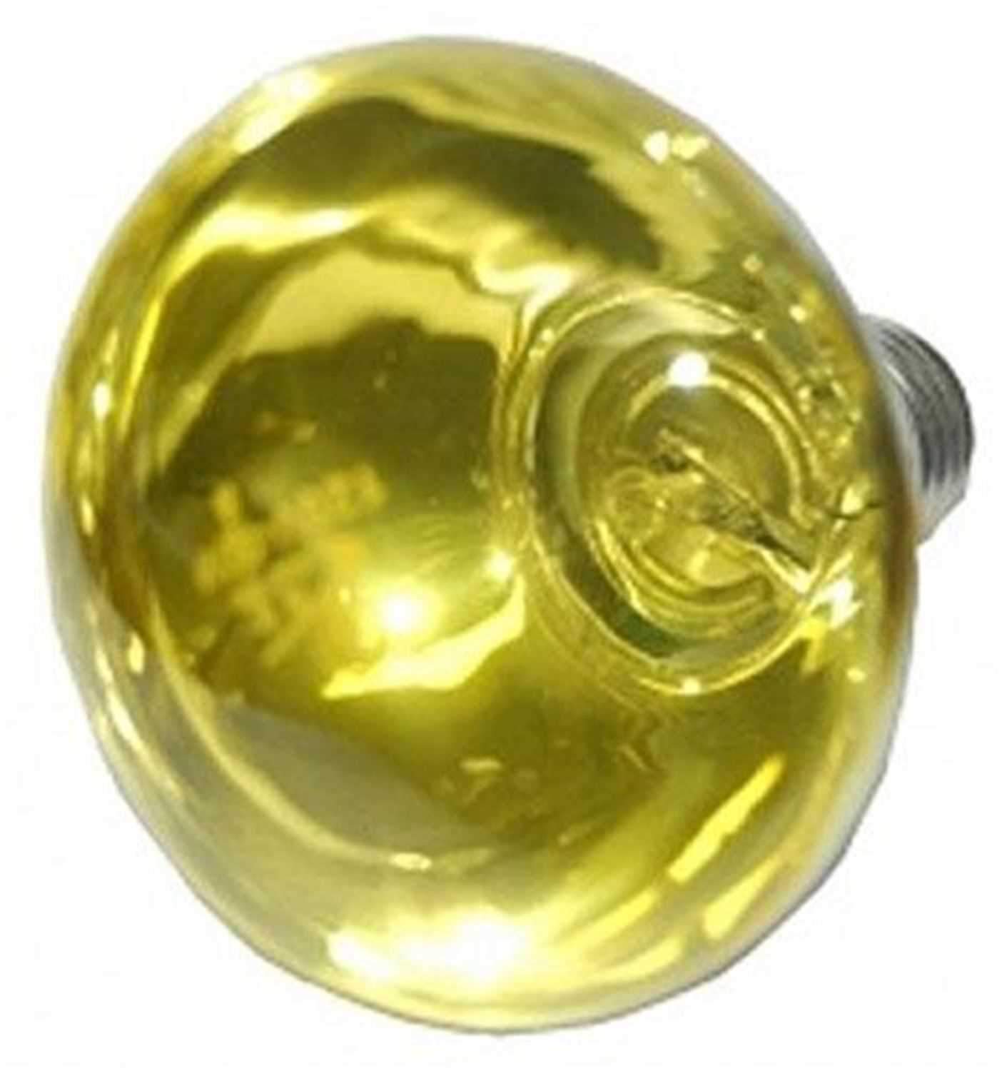 Eliminator EL137Y Replacement Bulb-Yellow - ProSound and Stage Lighting