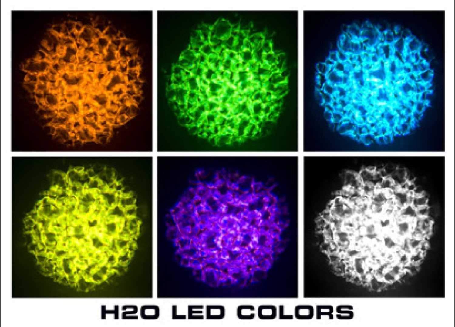ADJ American DJ H2O LED IR 12-Watt Water Effect Light - ProSound and Stage Lighting