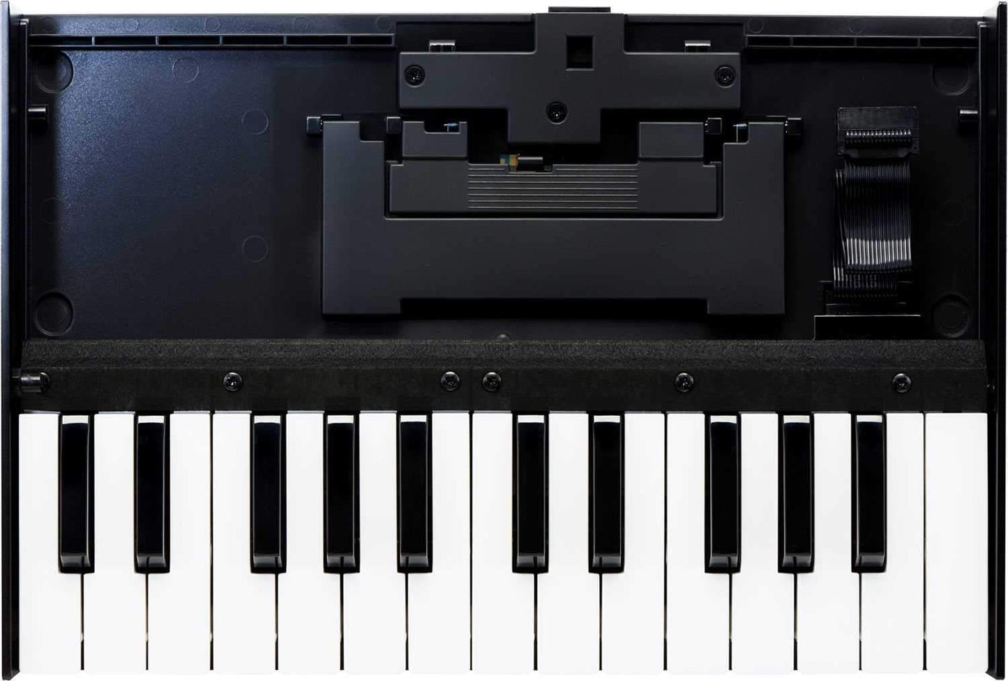 Roland K-25M Keyboard for Boutique Synth Modules - PSSL ProSound and Stage Lighting