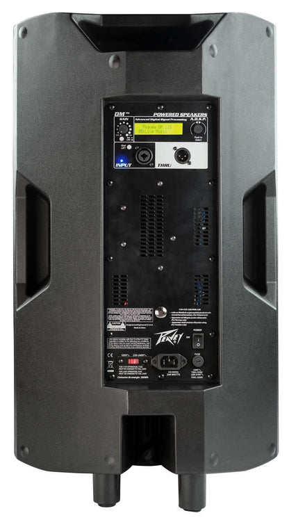 Peavey DM115 15-in Powered Speakers with PV10BT Mixer & PVi 100 Mics - PSSL ProSound and Stage Lighting