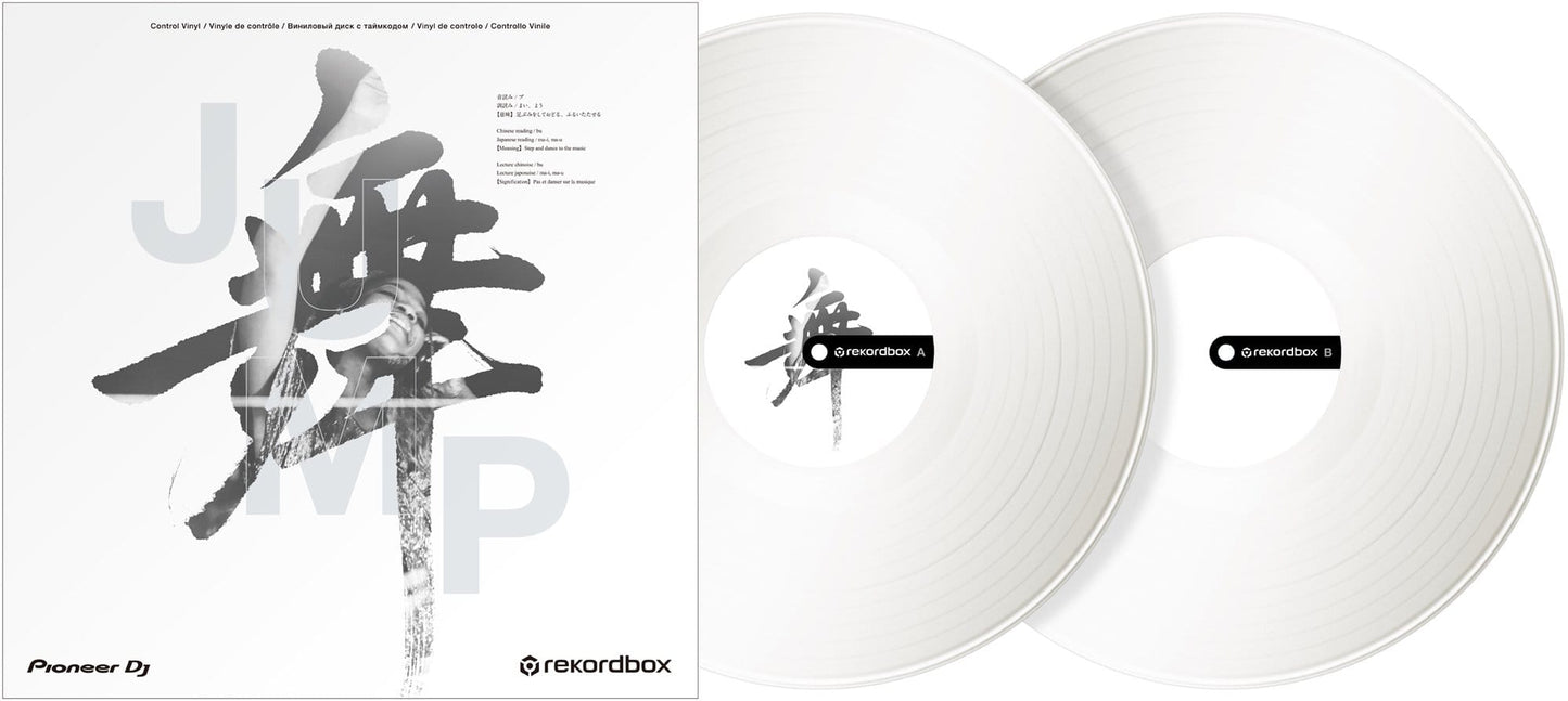 Pioneer DJ RB-VD2-W Control Vinyl Pair - White - ProSound and Stage Lighting