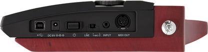 Korg RK-100S2 Keytar 37 Key Synthesizer - PSSL ProSound and Stage Lighting