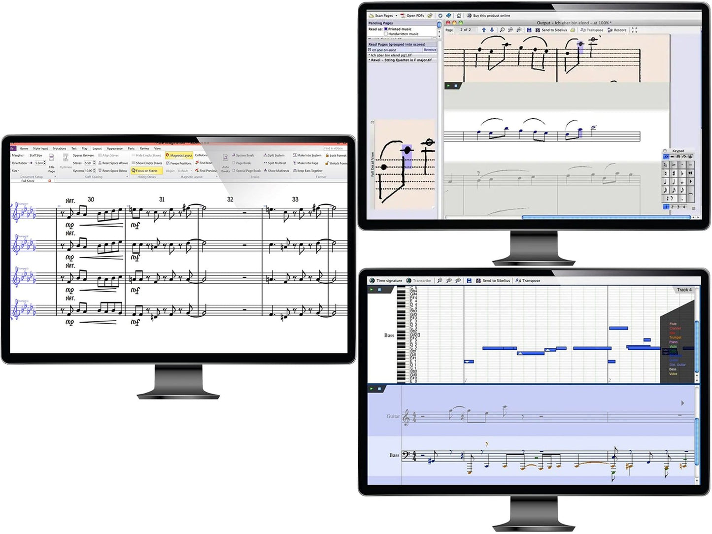 Sibelius Ultimate Perp PScore AScore NotateMe EDU - ProSound and Stage Lighting