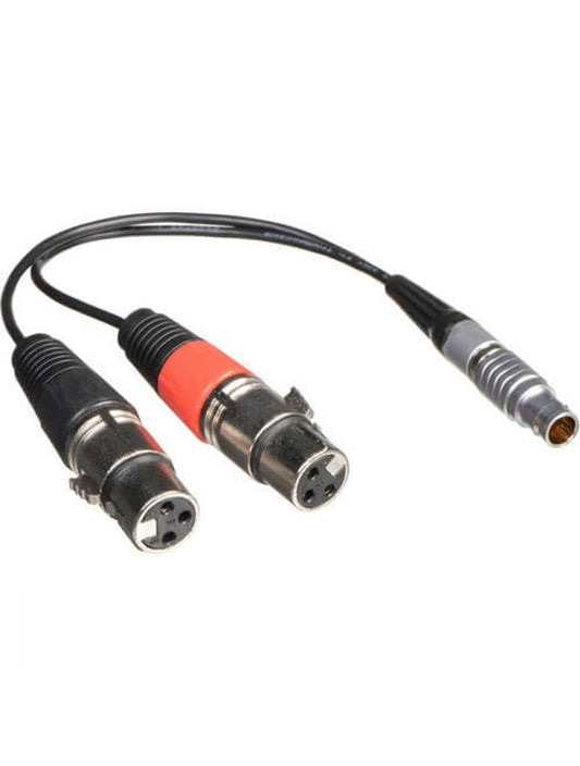 Shogun Inferno Monitor Recorder 10-Pin to Female XLR3 Adapter - PSSL ProSound and Stage Lighting